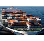 Marine & Cargo Insurance