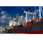 Shipping , Chartering & Bunker Services